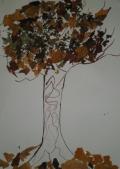 Vtvarn sa Najkraj a najoriginlnej jesenn strom